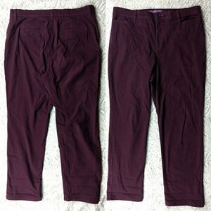 Gloria Vanderbilt Purple Denim Twill 16 Short